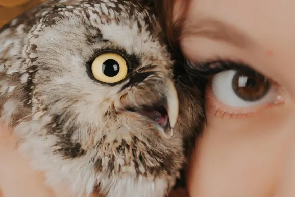 Betitall Casino Stuðningur